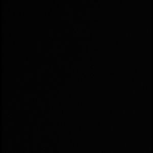 Meet your Posher, Linden